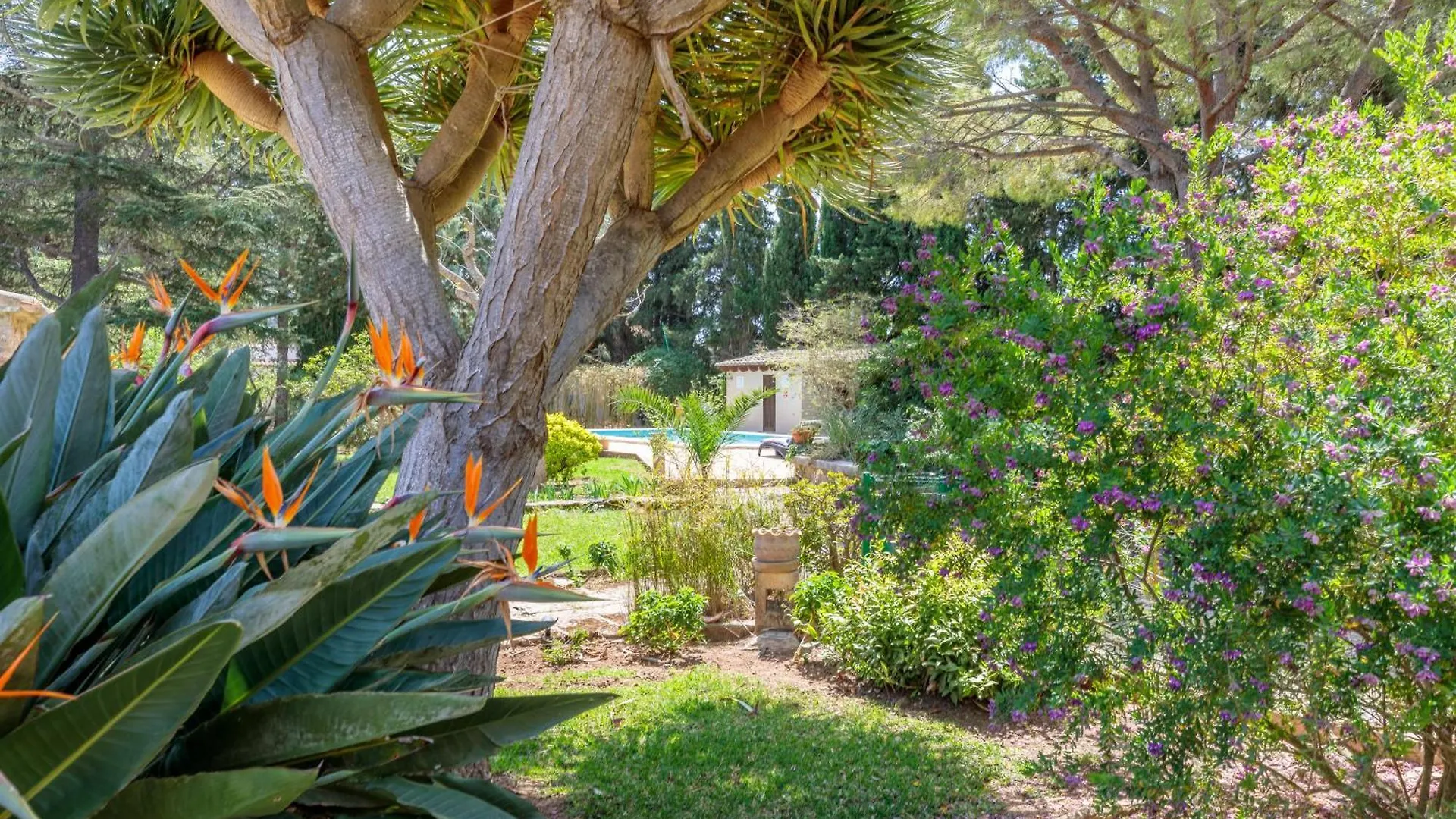 Holiday home La Papalaya Villa Port de Pollenca